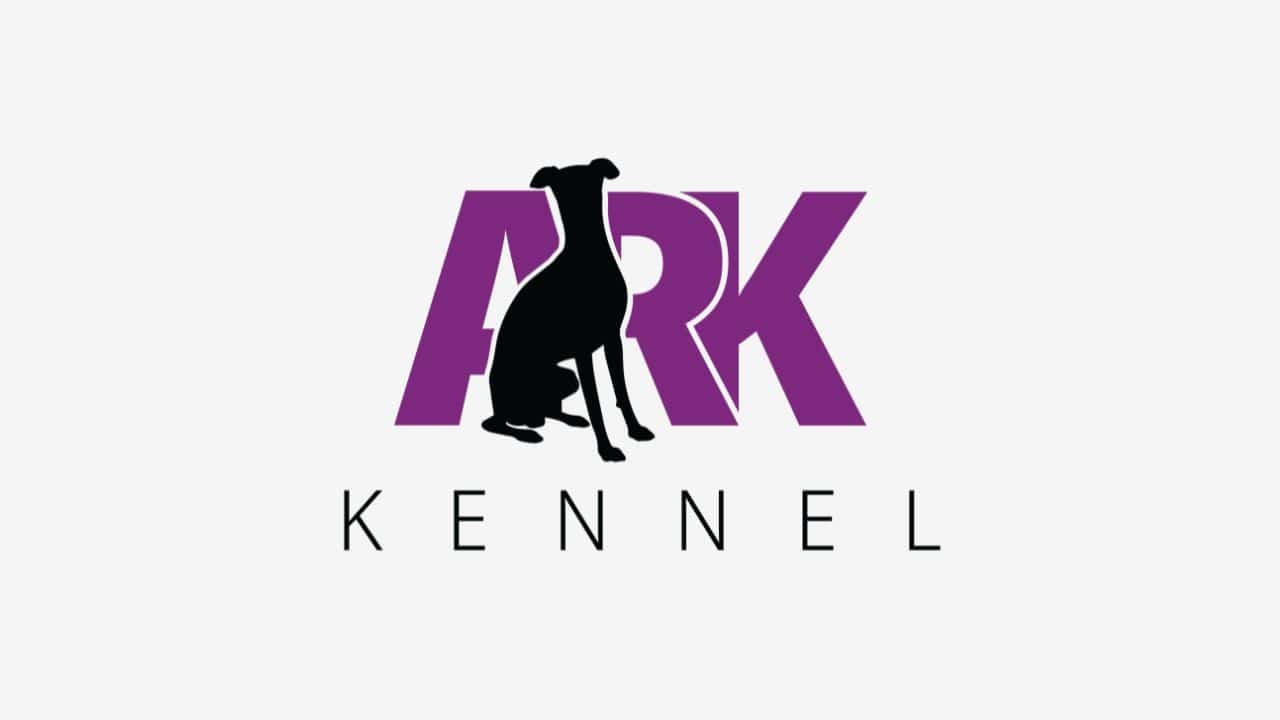 Greyhound Breeder - Greyhound Puppies - Mesa, AZ - ARK Kennel